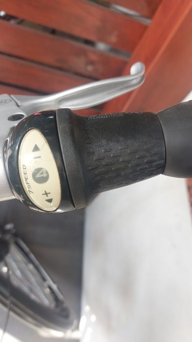 Rower damski Pegasus