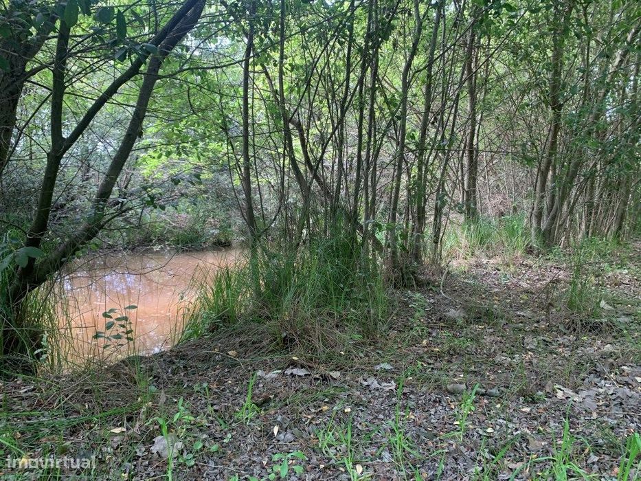 Quinta / propriedade agrícola, com nascente de agua - Aveiro