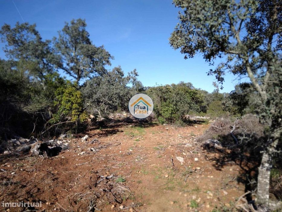 Terreno Rústico com Furo nos Arredores de São Brás de Alportel — Santa Bárbara de Nexe, Faro