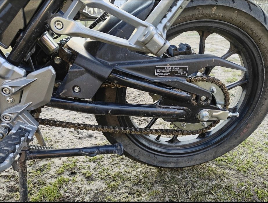 Senke leopard 300