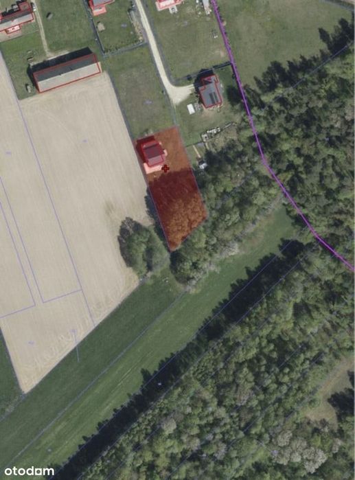 Dom – Grabówka - Widok 3
