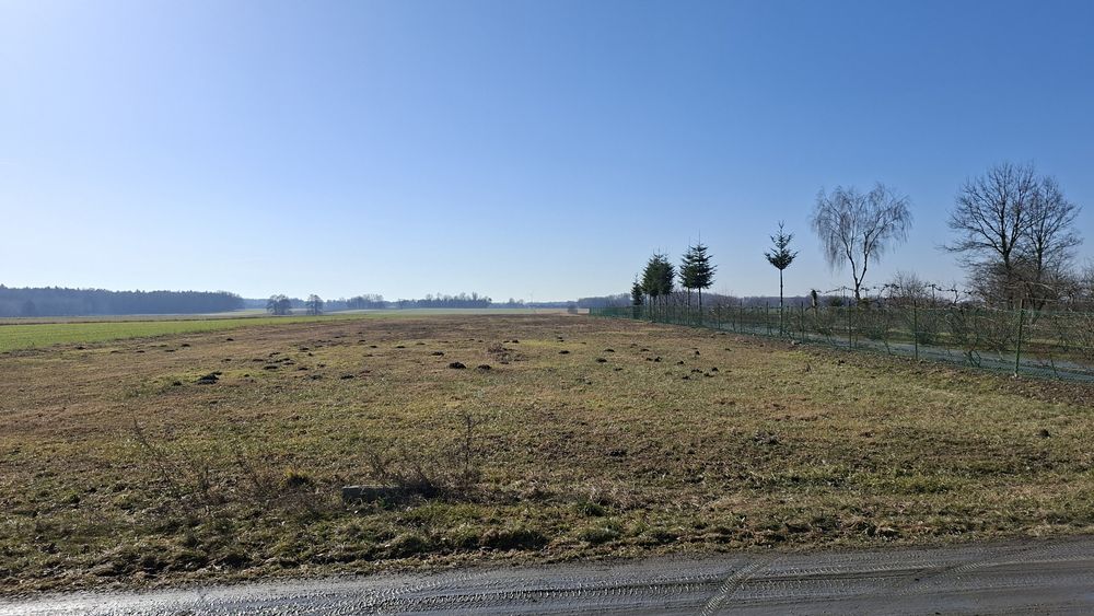 6000 m² działka budowlana plus rolna - Widok 5