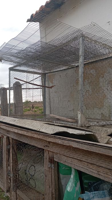 Vendo gaiolas vários tamanhos