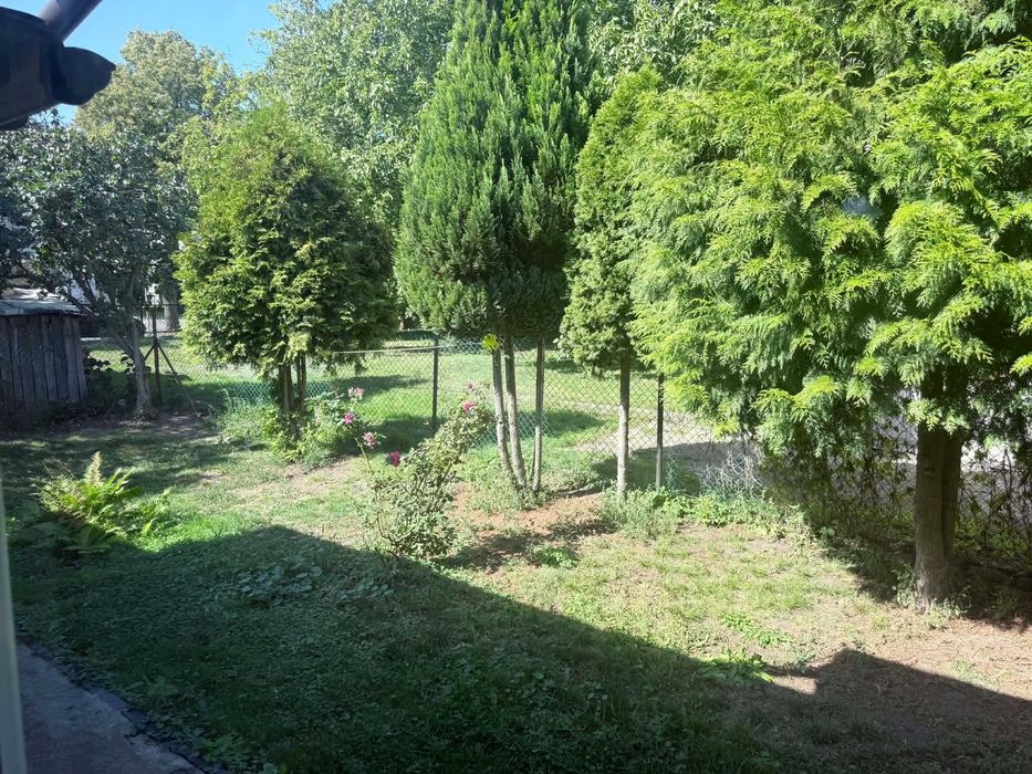 Zdjęcie 5