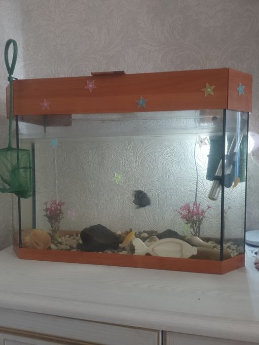 Акваріум 80 літрів