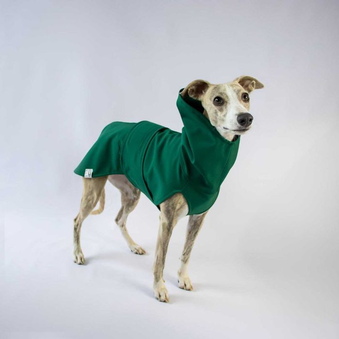 Kurtka Softshell na pieska, whippeta, charta, charcika albo na wymiar