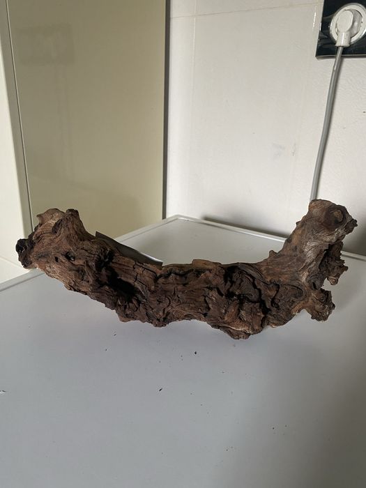 Корч коряга корінь Мопані