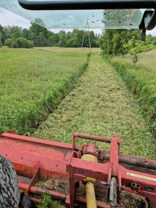 Wykaszanie nieużytków przycinanie drzewek