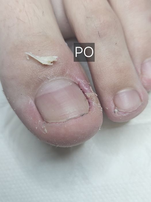 Podolog Mobilny Piaseczno I okolice