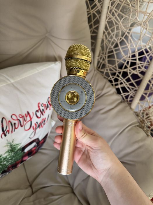 Мікрофон з колонкою