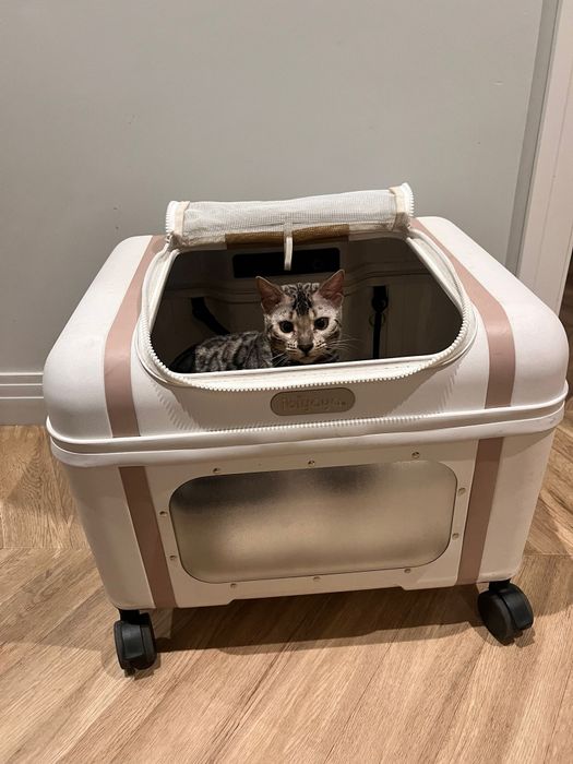 Transporter Lavada Ibiyaya