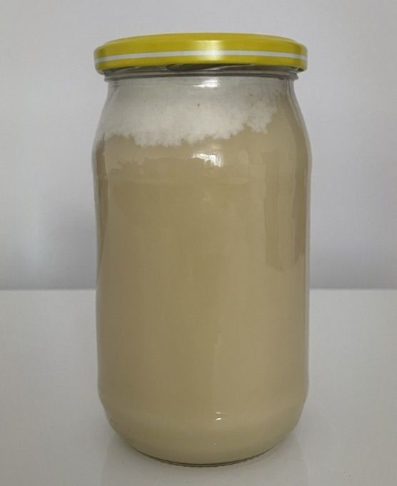 Miód wiosenny POLSKI