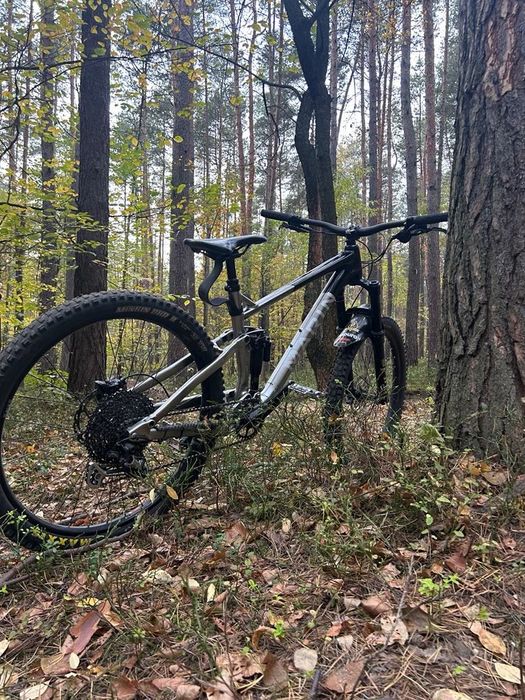 Marin rift zone 3 M 2023