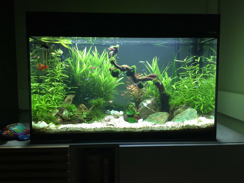 Akwarium AQUAEL Glossy 120L