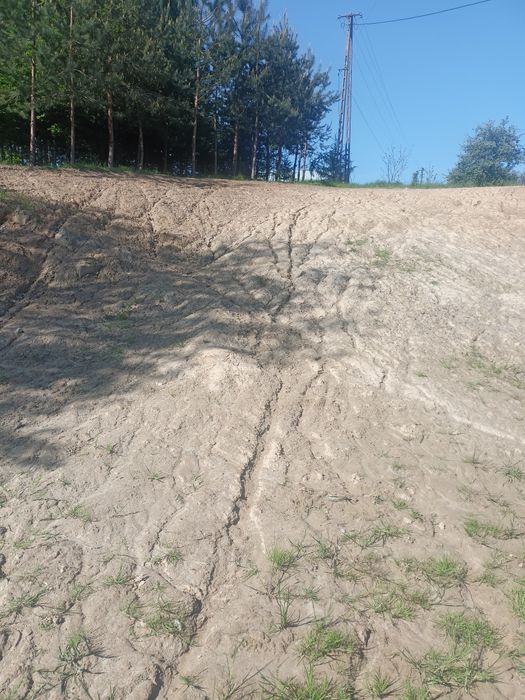 Oddam ziemię czystą duża ilosc