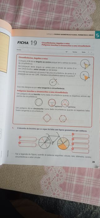 Caderno de actividades Matemática 6º ano