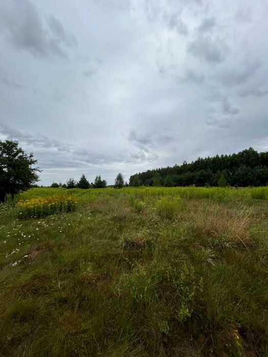Działka z Warunkami Zabudowy 6300 m².  Pod lasem, cicha okolic. - Widok 2