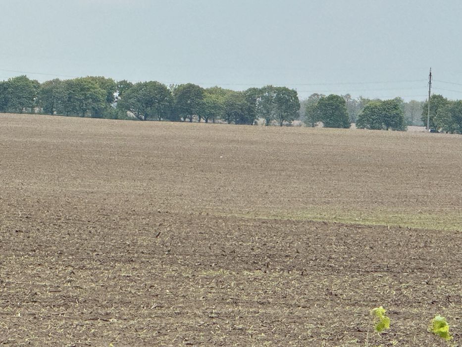 Земельна ділянка 27 га! Андріївка.