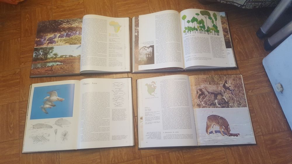 Enciclopédia  A Fauna  e flora  e mais  temas