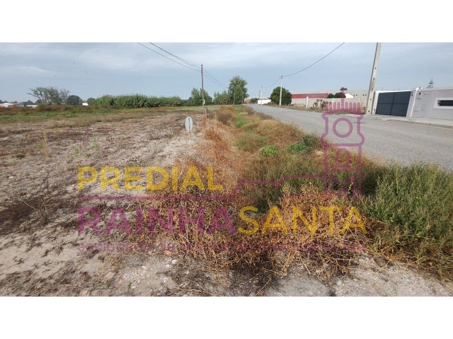 Terreno/ construção de moradias- Foros Salvaterra de Magos