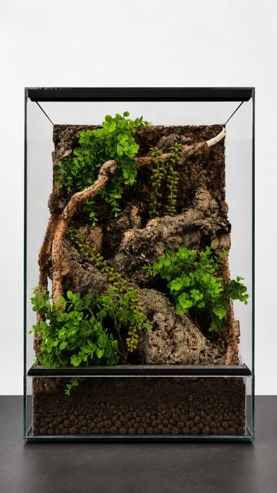 Terrarium z wystrojem premium 40x40x60 Nowe Okazja Producent Wysyłka