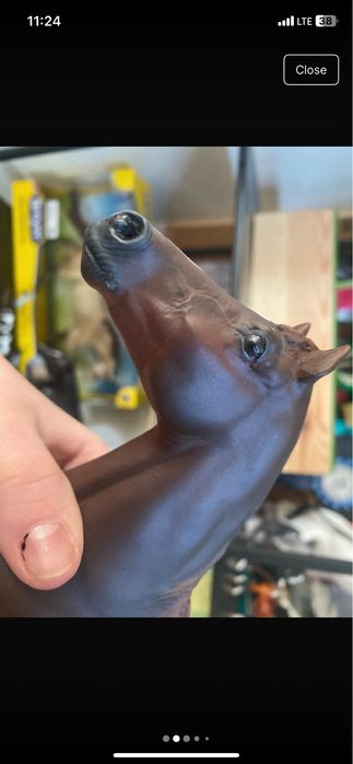 Breyer Custom Cinamoon