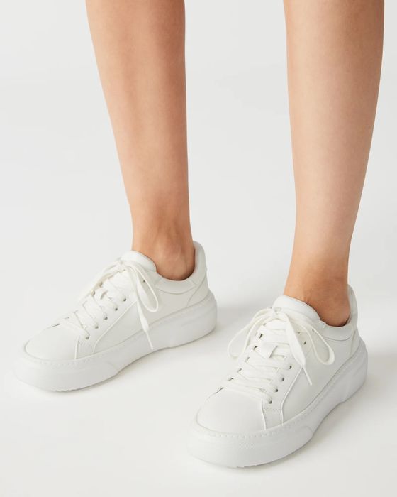 Кросівки Steve Madden жіночі