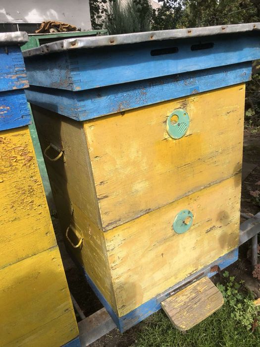 Продам улики для пчёл
