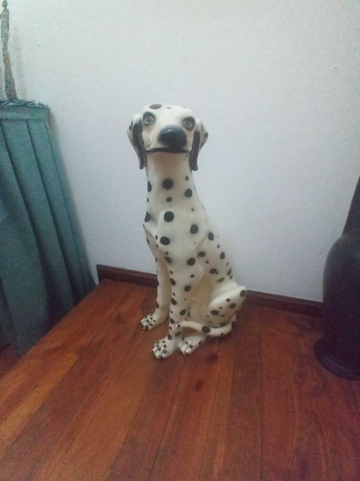 Cão Dalmata Antigo