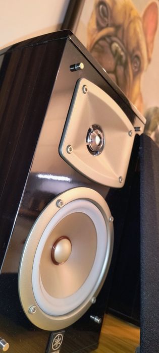 Kolumny podstawkowe Yamaha ns 333