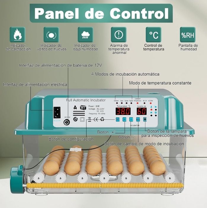Incubadora Automática Transparente