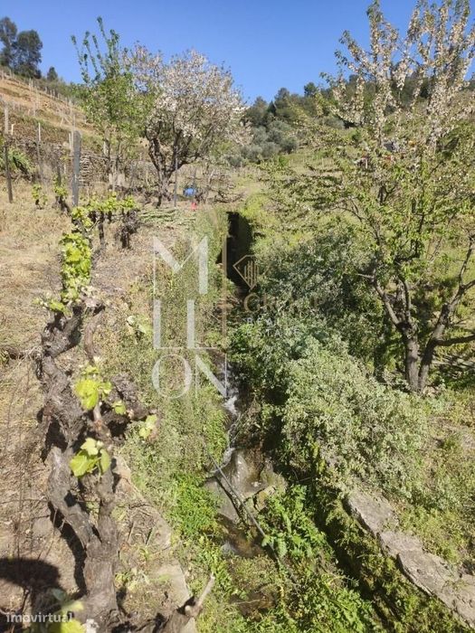 Encantadora Quinta com cerca de 3 Hectares de Tradição e Beleza Natura