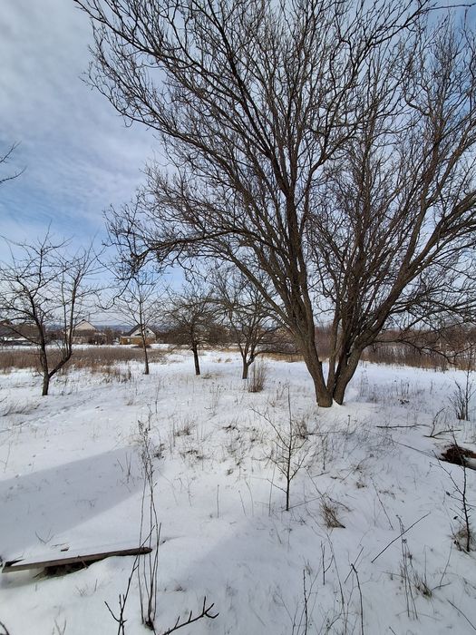 HG8 Продам участок в Новой Водолаге