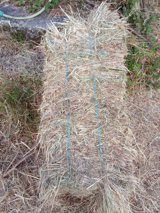 Fardos/Rolos 2025 Feno Bravo c/Qualidade