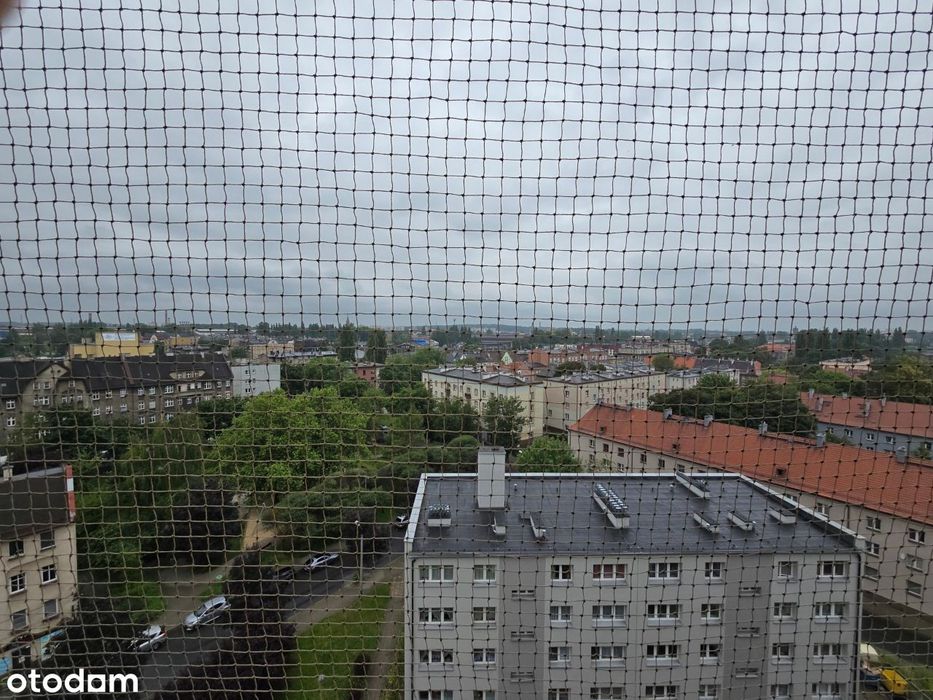 Mieszkanie z perspektywami 55,7 m2