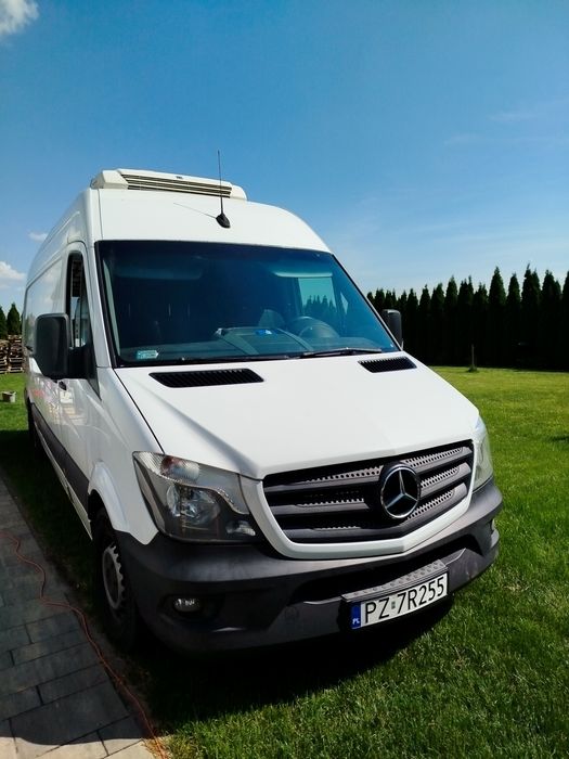 Transport chłodniczy