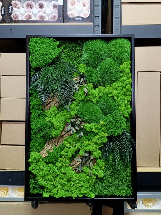 Панно з Моху. Декор з Мохом. Фітокартина зі Стабілізованим Мохом