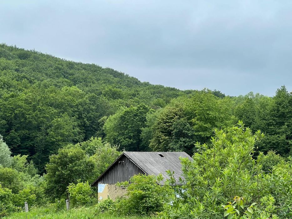 Продаж Гектару землі за вигідною ціною!