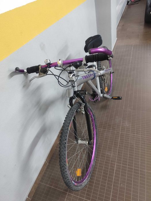 Bicicleta Trek Multi-Track – Prateada e Roxa