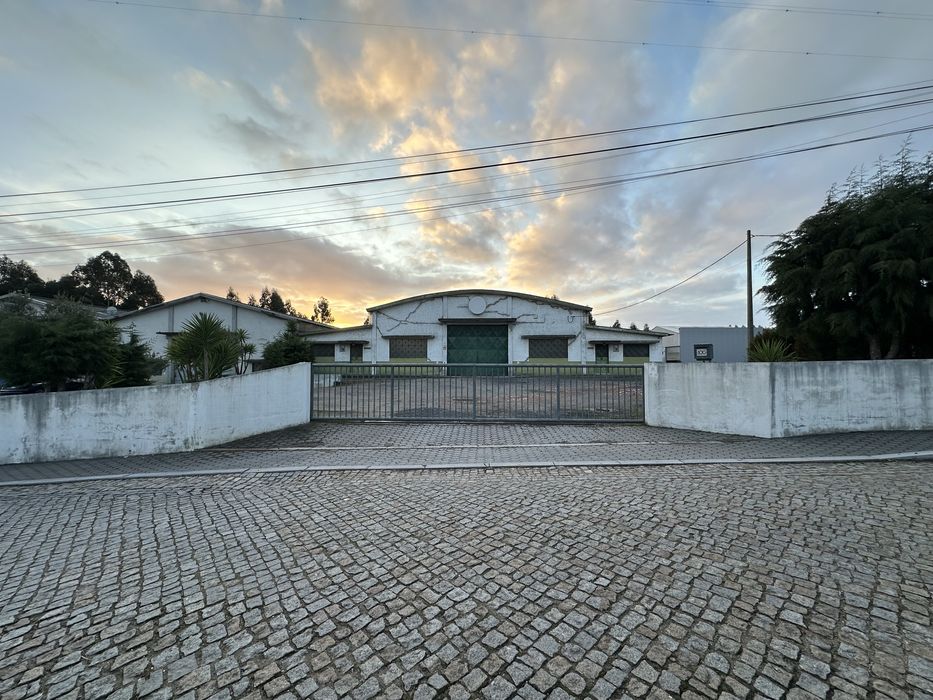 Armazém Grijó / Nogueira da Regedoura