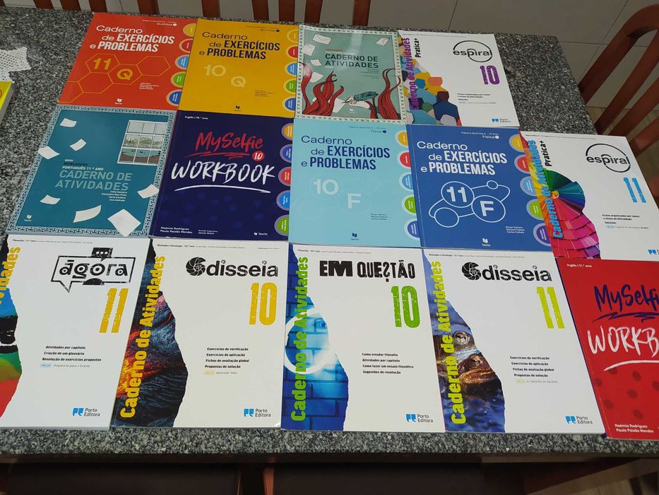 Cadernos de atividades 10/11ano