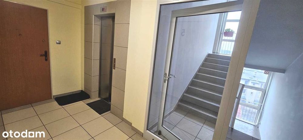 Zdjęcie 8
