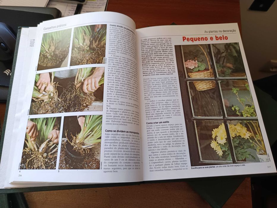 Para ter plantas saudáveis e viçosas!