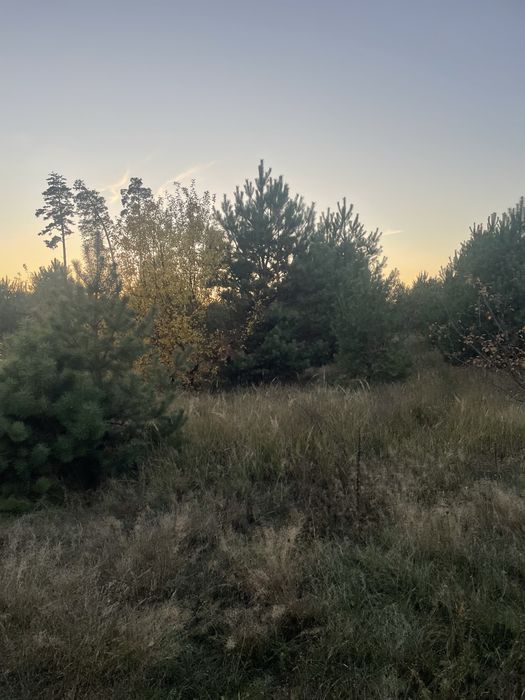 Продаж ділянки біля стадіону Буркацької 9