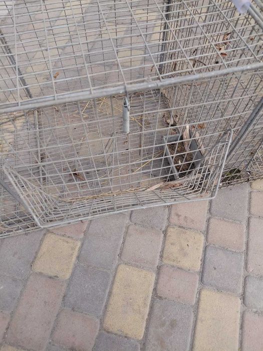 Клітка для. гризунів