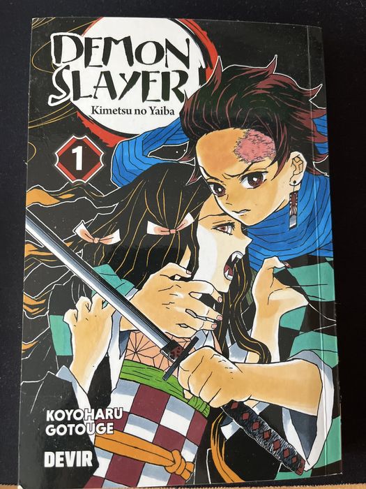 Livros Demon Slayer (kimetsu no yaiba)