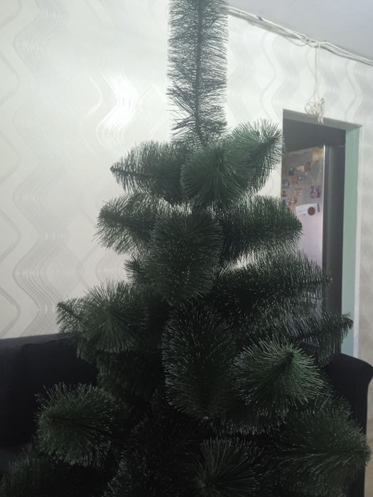 Новогодняя красавица,олх -нет,торг реальный