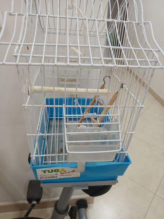 Gaiola para aves pequena