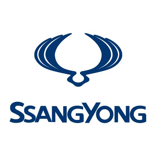 SSANG YONG