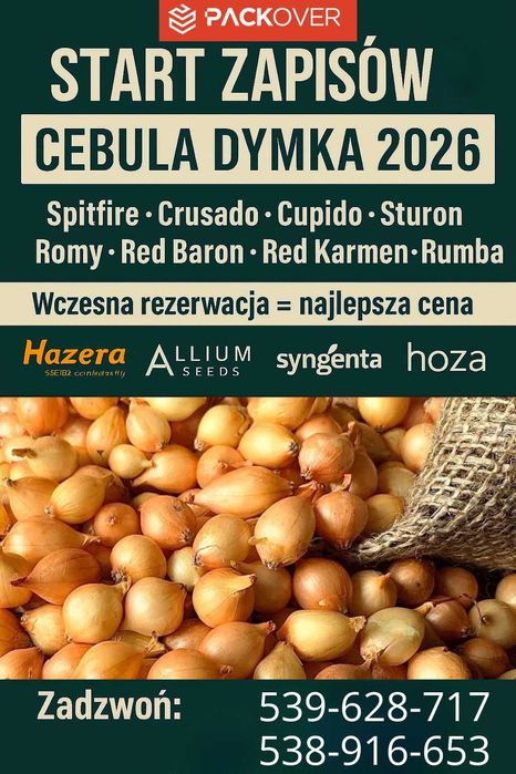 Zapisy na cebulę dymkę z Holandii